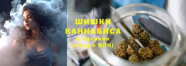 дживик Володарск