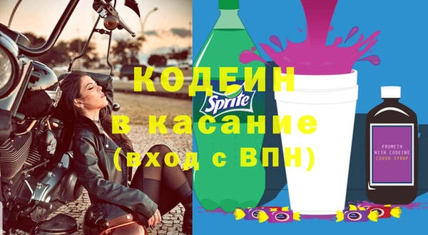 хмурый Верея