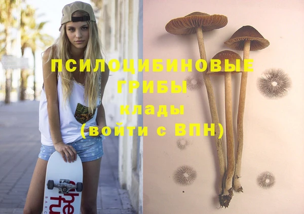 хмурый Верея